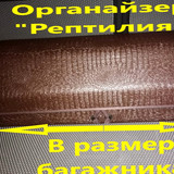 86e7de8ce742eb1bb15d48cb99395fc6