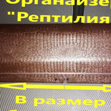 5a039aa2adb54c907e1d55c8a97c2c4c