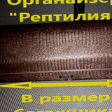 a8895e48fb97cebfae9716ed31f872ee