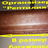 0bb330bf82ed85d5ddda0c8ab18c6b86