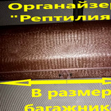 265b0141fe491369ae2b6ae69c651775