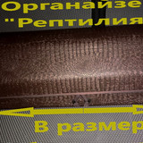 85a907532a8cf73e54944c434dd2122b