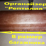 92c14a26f0f1b2660a29a4e8ec7ff3d3