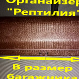 9723f5d4798722b6828b00ec38a772c9