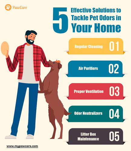 5 Effective Solutions to Tackle Pet Odors in Your Home.jpg
