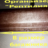504244d65a115cc28a7ef533a0119878