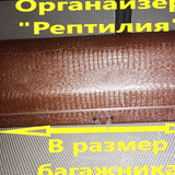 03dfefefa53409f5a12b76455bcbfb35