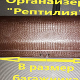 c8569caf15587434ec655e04e1399280