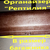 ed7fd9e29506b0d1ed97a085262c173d