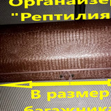 e3f038b912f37aed67f9a0fa08f88155
