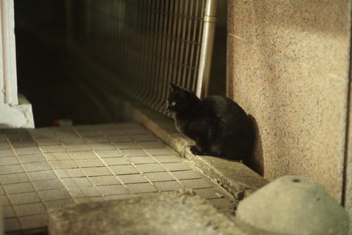 A7SDSC01688.jpg
