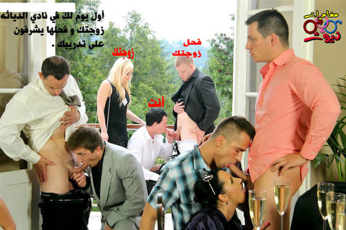 289105599f5a82429bc4d388e9fffbd44a001103