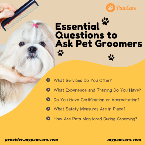 Essential Questions to Ask Pet Groomers.png