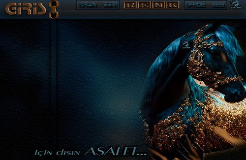 Lady Nur İçin dışın Asalet.jpg