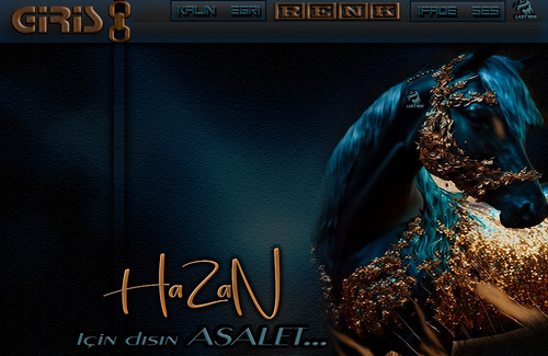 Lady Nur Dj Hazan İçin dışın Asalet.jpg