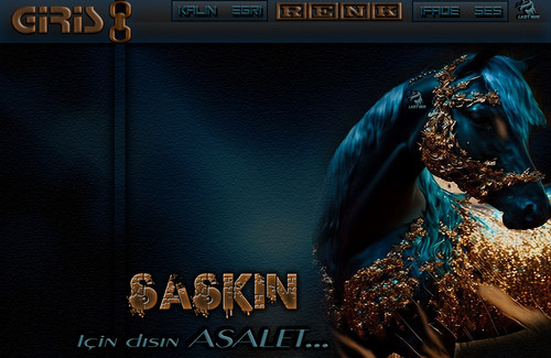 Lady Nur Dj Şaşkın İçin dışın Asalet.jpg