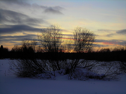 DSCN2173 1.jpg