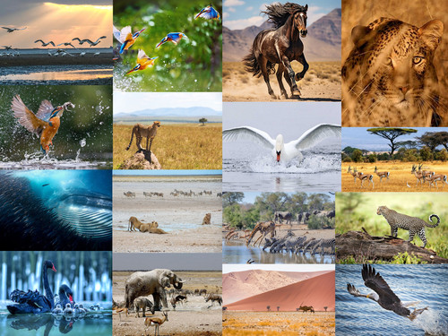 'Glorified is The Mighty Creator'.jpg