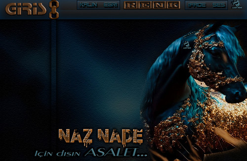 Lady Nur Dj Naz Nade İçin dışın.jpg