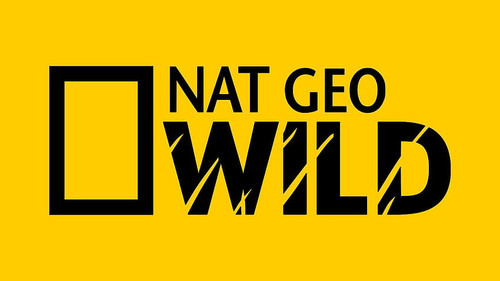 national geographic WİLD