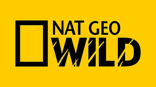 national geographic WİLD.jpg