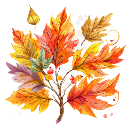 Firefly herbstlaub, weißer hintergrund 49395 Photoroom.png Photoroom.png