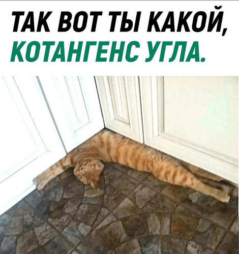 1100x.png