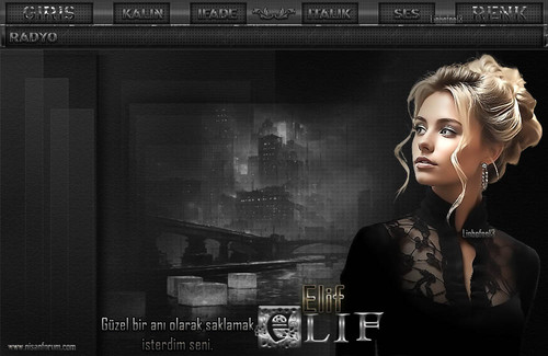 Bayan Radyo Tema 328 ELIF