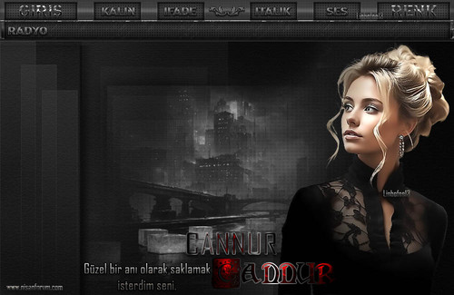 Bayan Radyo Tema 328 KIRMIZI CANNUR