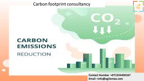 Carbon footprint consultancy 3.jpg