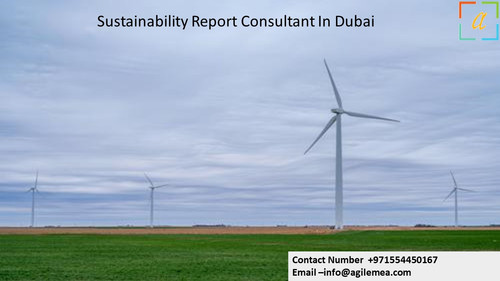 Sustainability Report Consultant In Dubai 4