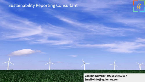 Sustainability Reporting Consultant 3.jpg