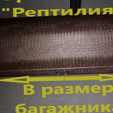 faba32aff6e5bc901b8ef4d10cf81e6a