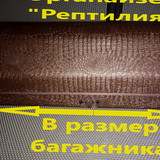 6e23f8f2e974c9c467ca3d4b9e18cc72