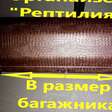 f12cff2a258aaa2b2d4e4c65fb14541c
