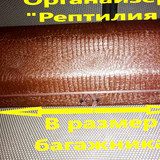 a85107aedd3d0fa6d94a19a4daa3025c