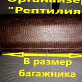 ac47921827e3b6ef46dd9f38107c44bb