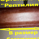f4028e903f79a9aedafd93722ff921f8