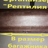 7c064d7bafb3f9c5b8b42eefe590f7b9