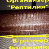 723ffa9077f7c86c3d06f500de2a8ba1