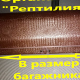 e57ef422242b3a2078669b0c487f2975
