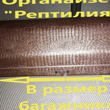 ac16163b29599d34e5a5278145b5c967
