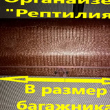e5a3269592affaaf17b6edaf069ab31b