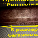 1d52a25269126fa77ca9383aef612fc9