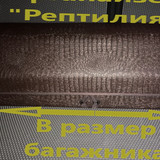 9dc41e016881c85cfea76f3547397172