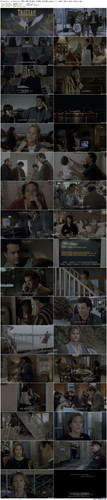 Sleepless.in.Seattle.1993.UHD.BluRay.2160p.TrueHD.Atmos.7.1.x265.10bit.DoVi beAst preview.jpg