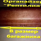 e877eae150cd147bc50a42265a9959b8