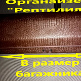 794d37aaea88ef291b4e8d295f0ac5f2