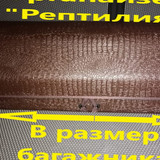 748935592c0a742a0e1eb49ca1197239
