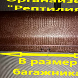 c249d7dbec3e4be2fdd3081a39dd33ad